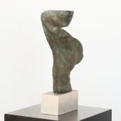Torso Artem - Cleared
