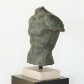 Torso Ariston - Cleared