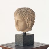 Bust of a Roman Youth - Cleared