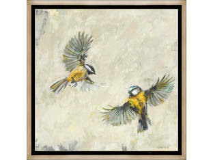 Flutter I  24W X 24H