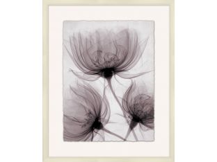 X-Ray Floral 1  25.75W X 31.75H