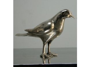Silver Bird