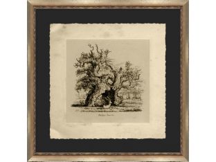 The Lalcey-Forest Oak 22.5W x 22.5H