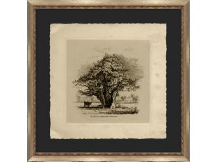 The Bull Oak 22.5W x 22.5H