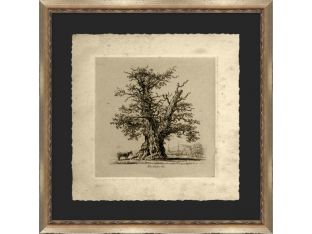 The Shelton Oak 22.5W x 22.5H