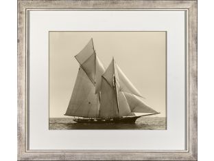 America's Cup V 36W x 32H