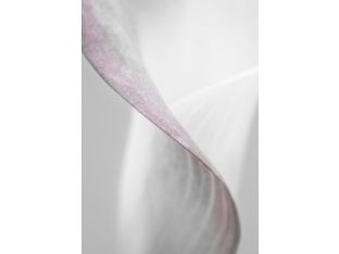 White Floral III 20W x 30H