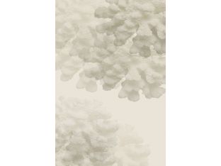Coral IV 30W x 43H