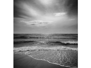 Beach I 24W x 24H