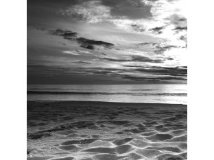 Beach II 24W x 24H