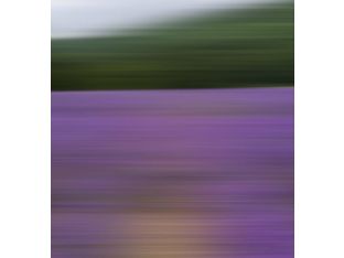 Abstract Landscape IV 30W x 30H