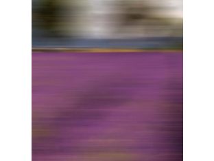 Abstract Landscape V 30W x 30H