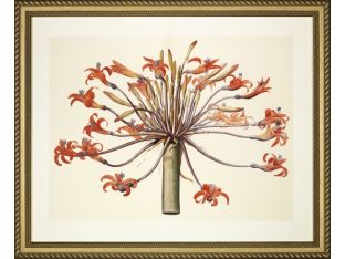 Large Amaryllis Bouquet 44W x 36H