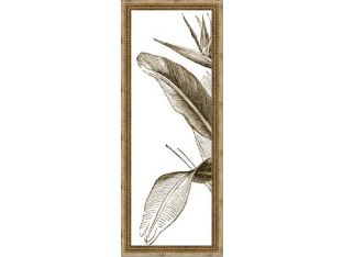 Bird of Paradise Triptych Series (Set of 3) 15W x 39H