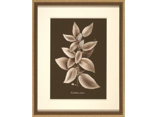 Sepia Leaves on Chocolate II 22W x 28H