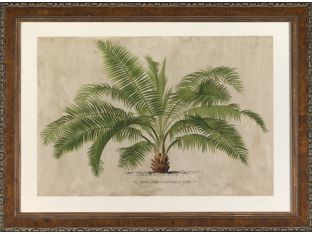 Large Horizontal Palm IV 39W x 29H