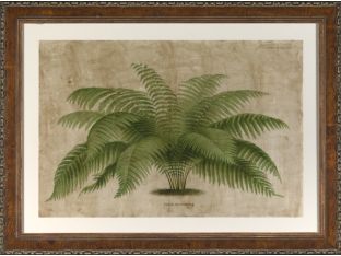 Large Horizontal Palm I 39W x 29H