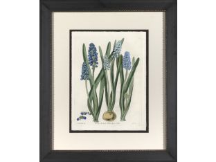 Blue Botanical II 29W x 34H