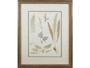 Small Fern Impressions (Set of 2) 18W x 22H