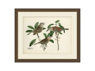 Large Brasher Bird III 41.5W x 34.5H
