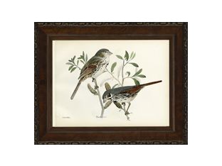 Small Brasher Birds II 21W x 17H