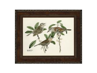 Small Brasher Birds III 21W x 17H