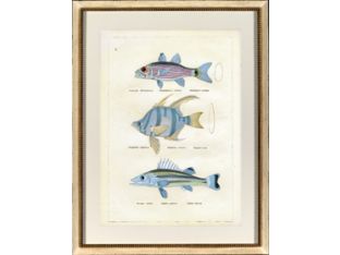 Blue Fish II 22.5W x 28.75H