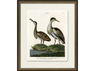 Medium Bittern 22W x 26H