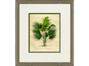 Small Island Palm II 16W x 18H