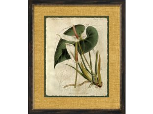 Crackled Tropical Foliage IV 22.5W x 26.5H