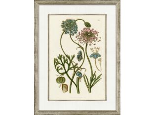 Medium Antique Blush Floral IV 32W x 24H