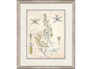 Blue Blossoms 1 18W x 21H