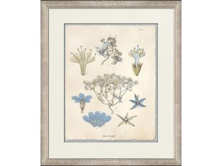 Blue Blossoms 2 18W x 21H