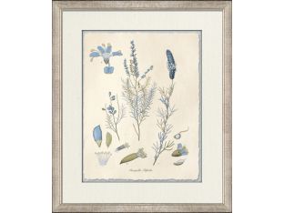 Blue Blossoms 3 18W x 21H