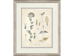 Blue Blossoms 5 18W x 21H