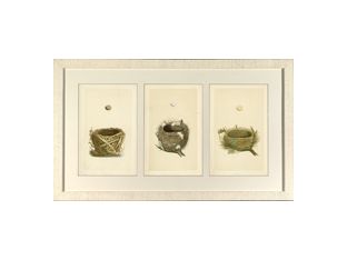 Morris Bird Nests II 43.5W x 26H