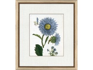 Botanical La Flore IV 16W x 20H