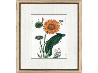 Botanical La Flore V 16W x 20H