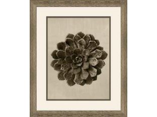 Art Forms of Nature IX 18W x 22H