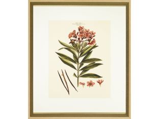 Blushing Pink Florals II 26W x 30H
