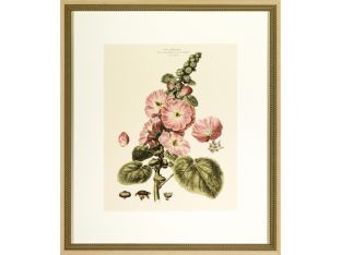Blushing Pink Florals III 26W x 30H