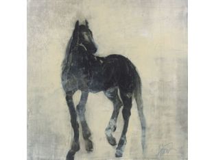 Noir 16W x 16H