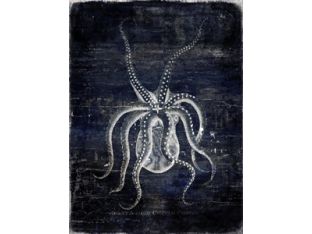 Pulpo 16W x 21H
