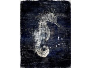 Caballito de Mar 16W x 21H