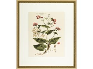 Blushing Pink Florals IV 26W x 30H