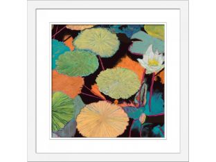 Inas Magic 34W x 34H