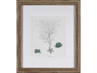 Teal Ocean Collection I (Set of 3) 15W x 18H