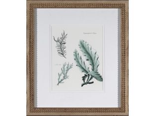 Teal Ocean Collection III (Set of 3) 15W x 18H