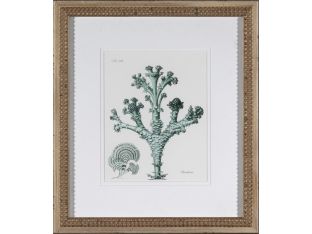 Teal Ocean Collection IV (Set of 3) 15W x 18H
