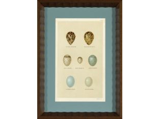 Shore Bird Egg Series 2 (Set of 3) 12.5W x 17.5H